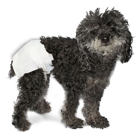 Paw Inspired Disposable Dog Diapers Female Puppy, Doggie, Cat, Pet Diapers Diapers for Dogs in Heat Period, Diapers that Stay on, Senior, Excitable Urination, or Incontinence (Medium, 32 Count) 68 4. . Puppy diapers walmart